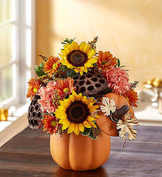 Pumpkin n' Posies Flower Power, Florist Davenport FL